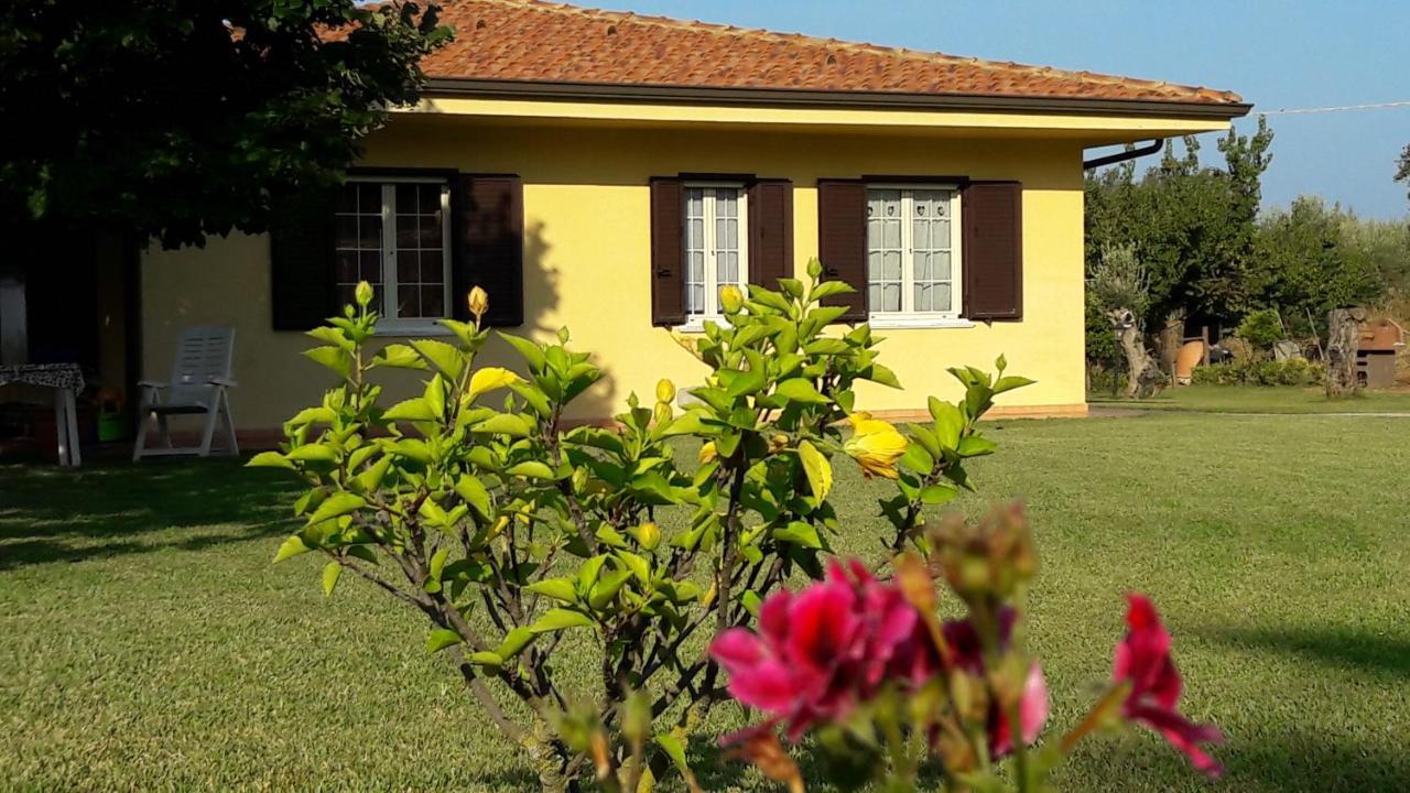 Villa Mimosa Ricadi Exterior foto