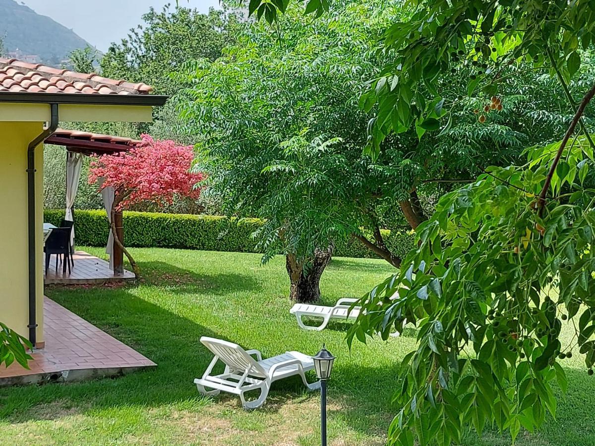 Villa Mimosa Ricadi Exterior foto